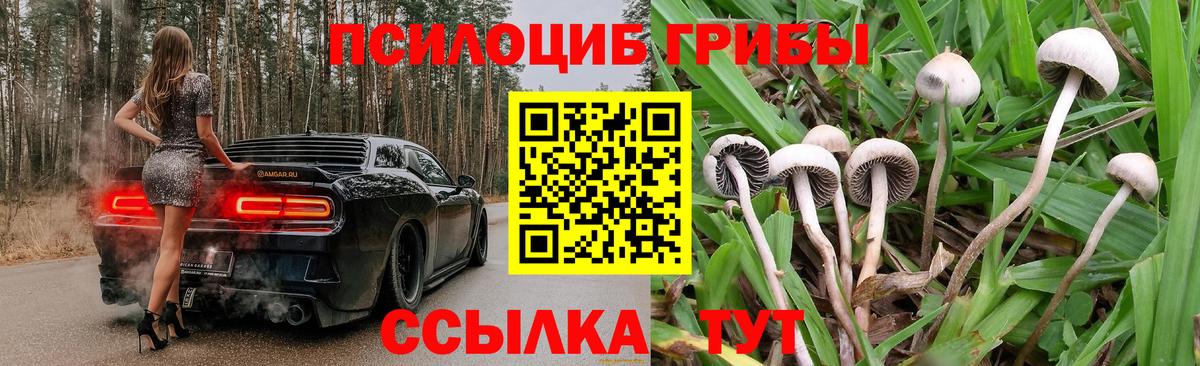Псилоцибиновые грибы мицелий  Вход с VPN  купить наркоту  Егорьевск 